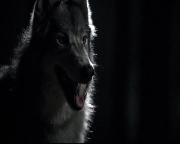 VampireDiariesWorld-dot-org_2x03BadMoonRising1897.jpg