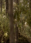 VampireDiariesWorld-dot-org_2x03BadMoonRising0076.jpg