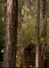 VampireDiariesWorld-dot-org_2x03BadMoonRising0085.jpg