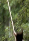 VampireDiariesWorld-dot-org_2x03BadMoonRising0924.jpg