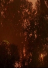 VampireDiariesWorld-dot-org_2x03BadMoonRising1197.jpg