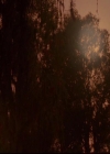 VampireDiariesWorld-dot-org_2x03BadMoonRising1199.jpg