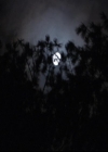 VampireDiariesWorld-dot-org_2x03BadMoonRising1313.jpg