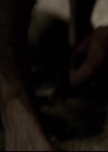 VampireDiariesWorld-dot-org_2x03BadMoonRising1317.jpg