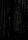 VampireDiariesWorld-dot-org_2x03BadMoonRising1355.jpg