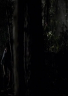 VampireDiariesWorld-dot-org_2x03BadMoonRising1358.jpg