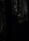 VampireDiariesWorld-dot-org_2x03BadMoonRising1359.jpg