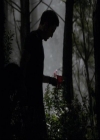 VampireDiariesWorld-dot-org_2x03BadMoonRising1364.jpg