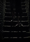 VampireDiariesWorld-dot-org_2x03BadMoonRising1368.jpg
