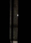 VampireDiariesWorld-dot-org_2x03BadMoonRising1388.jpg