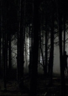 VampireDiariesWorld-dot-org_2x03BadMoonRising1395.jpg