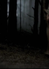 VampireDiariesWorld-dot-org_2x03BadMoonRising1397.jpg