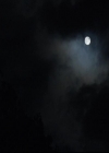 VampireDiariesWorld-dot-org_2x03BadMoonRising1410.jpg