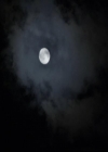 VampireDiariesWorld-dot-org_2x03BadMoonRising1411.jpg