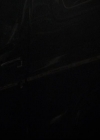 VampireDiariesWorld-dot-org_2x03BadMoonRising1428.jpg