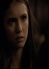 VampireDiariesWorld-dot-org_2x03BadMoonRising1513.jpg