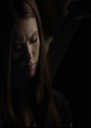VampireDiariesWorld-dot-org_2x03BadMoonRising1713.jpg