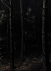 VampireDiariesWorld-dot-org_2x03BadMoonRising1845.jpg