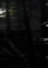 VampireDiariesWorld-dot-org_2x03BadMoonRising1850.jpg