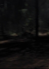 VampireDiariesWorld-dot-org_2x03BadMoonRising1851.jpg