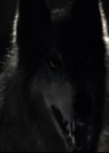 VampireDiariesWorld-dot-org_2x03BadMoonRising1893.jpg