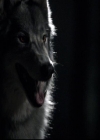 VampireDiariesWorld-dot-org_2x03BadMoonRising1897.jpg