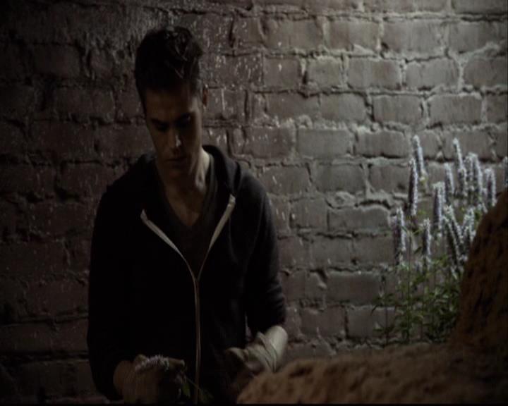 VampireDiariesWorld-dot-org_2x04MemoryLane0569.jpg