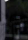 VampireDiariesWorld-dot-org_2x04MemoryLane1611.jpg