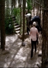 VampireDiariesWorld-dot-org_2x05KillOrBeKilled1237.jpg