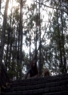 VampireDiariesWorld-dot-org_2x05KillOrBeKilled1399.jpg
