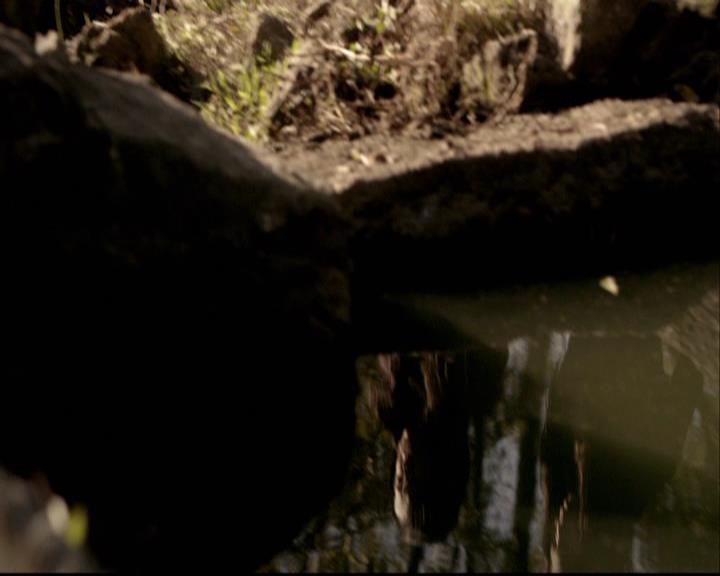 VampireDiariesWorld-dot-org_2x06PlanB0465.jpg