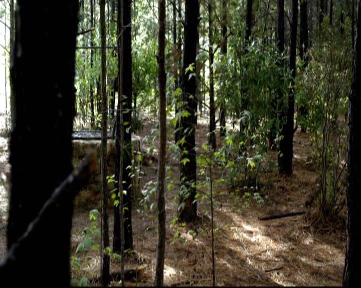 VampireDiariesWorld-dot-org_2x06PlanB1213.jpg
