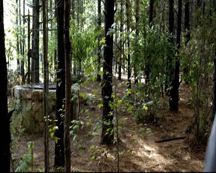 VampireDiariesWorld-dot-org_2x06PlanB1214.jpg
