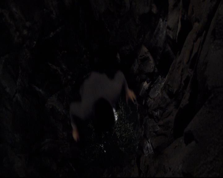 VampireDiariesWorld-dot-org_2x06PlanB1259.jpg