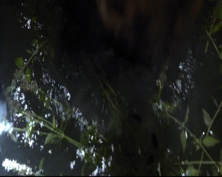 VampireDiariesWorld-dot-org_2x06PlanB1262.jpg