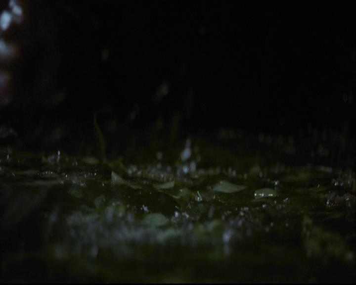 VampireDiariesWorld-dot-org_2x06PlanB1264.jpg