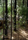 VampireDiariesWorld-dot-org_2x06PlanB1213.jpg