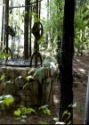 VampireDiariesWorld-dot-org_2x06PlanB1217.jpg
