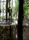 VampireDiariesWorld-dot-org_2x06PlanB1218.jpg