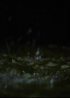 VampireDiariesWorld-dot-org_2x06PlanB1264.jpg
