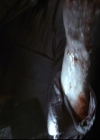 VampireDiariesWorld-dot-org_2x06PlanB1265.jpg