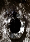 VampireDiariesWorld-dot-org_2x06PlanB1434.jpg