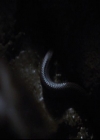 VampireDiariesWorld-dot-org_2x06PlanB1483.jpg