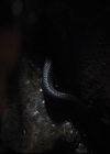 VampireDiariesWorld-dot-org_2x06PlanB1484.jpg