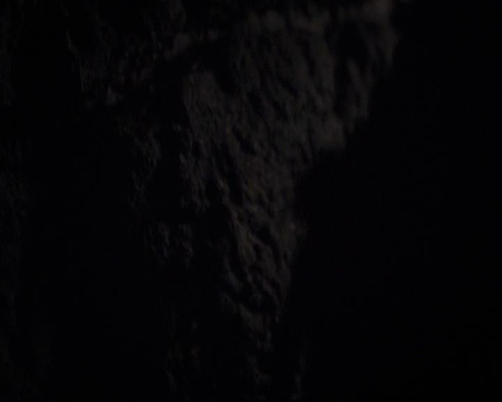 VampireDiariesWorld-dot-org_2x07Masquerade2158.jpg