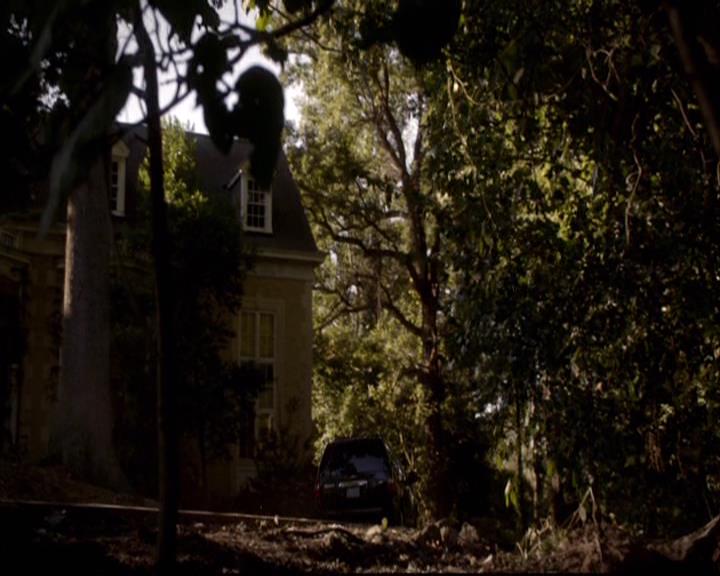 VampireDiariesWorld-dot-org_2x08Rose0285.jpg