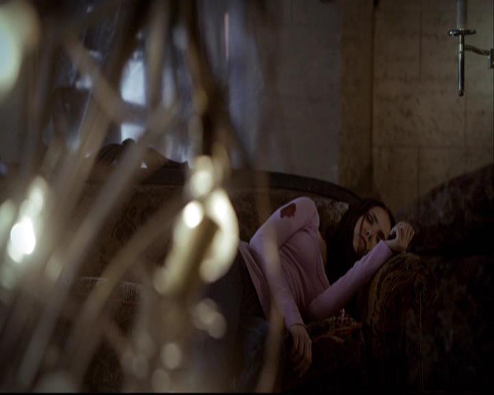 VampireDiariesWorld-dot-org_2x08Rose0442.jpg