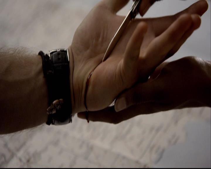 VampireDiariesWorld-dot-org_2x08Rose0528.jpg