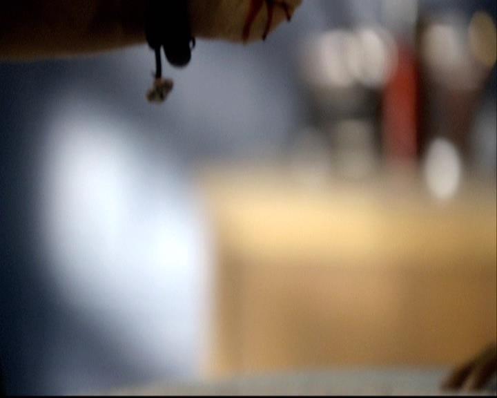 VampireDiariesWorld-dot-org_2x08Rose0539.jpg
