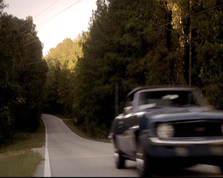 VampireDiariesWorld-dot-org_2x08Rose0682.jpg